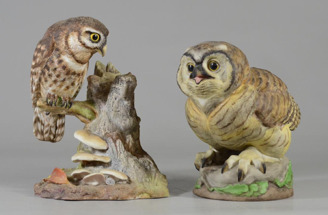 2 Boehm porcelain bird owl figurines (1 of 5)