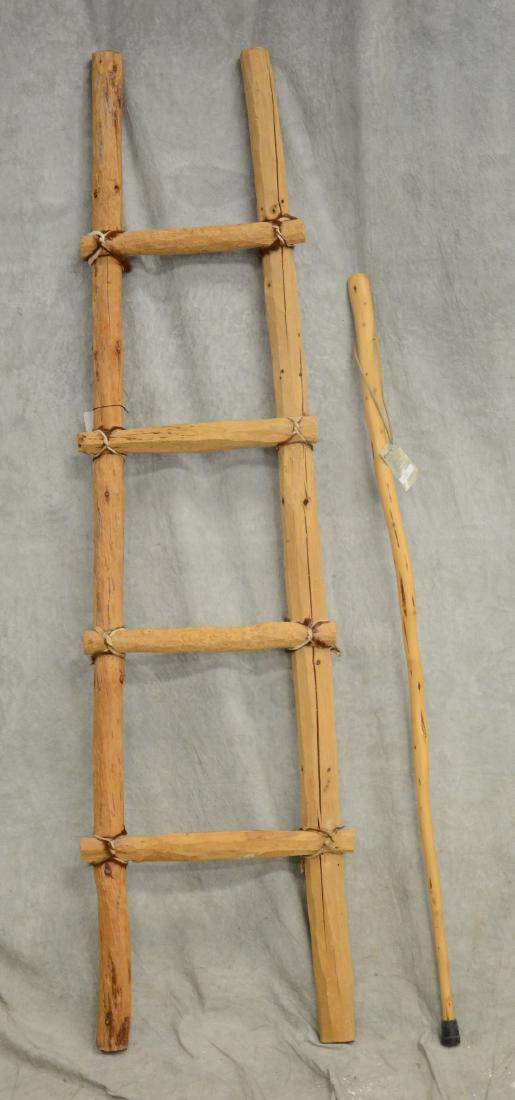 Southwest Native American kiva ladder, the rungs wit (1 of 1)