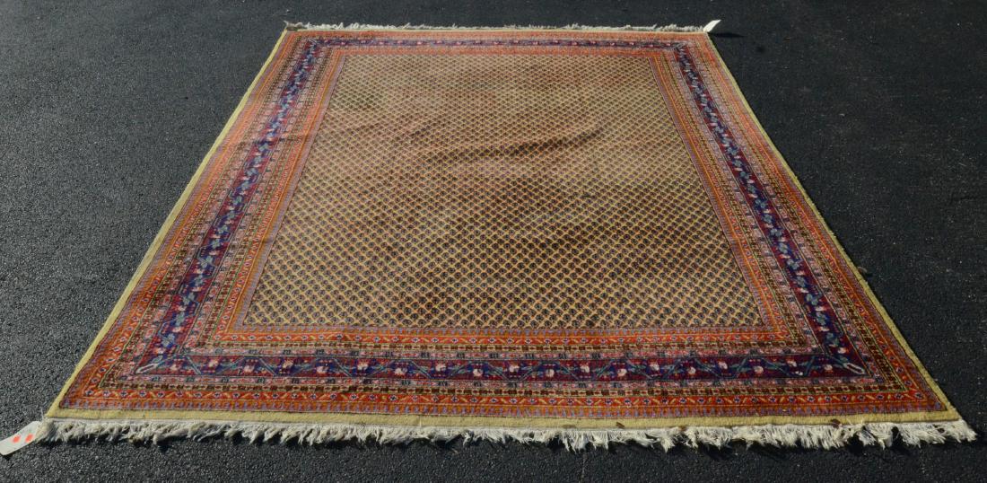 Indo Mir Sarouk  8'9"x11'8" (1 of 3)