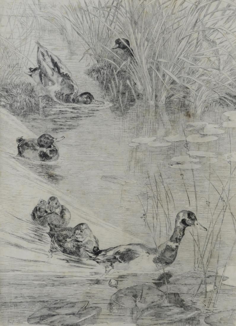 Felix Bracquemond, etching "Ebats des Canards" (1 of 4)
