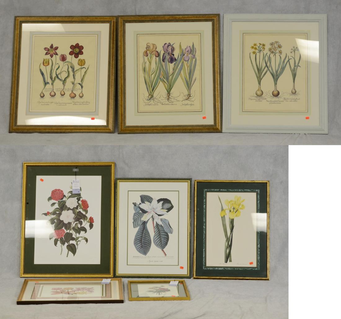 Lot of 8 framed botanical prints (1 of 4)