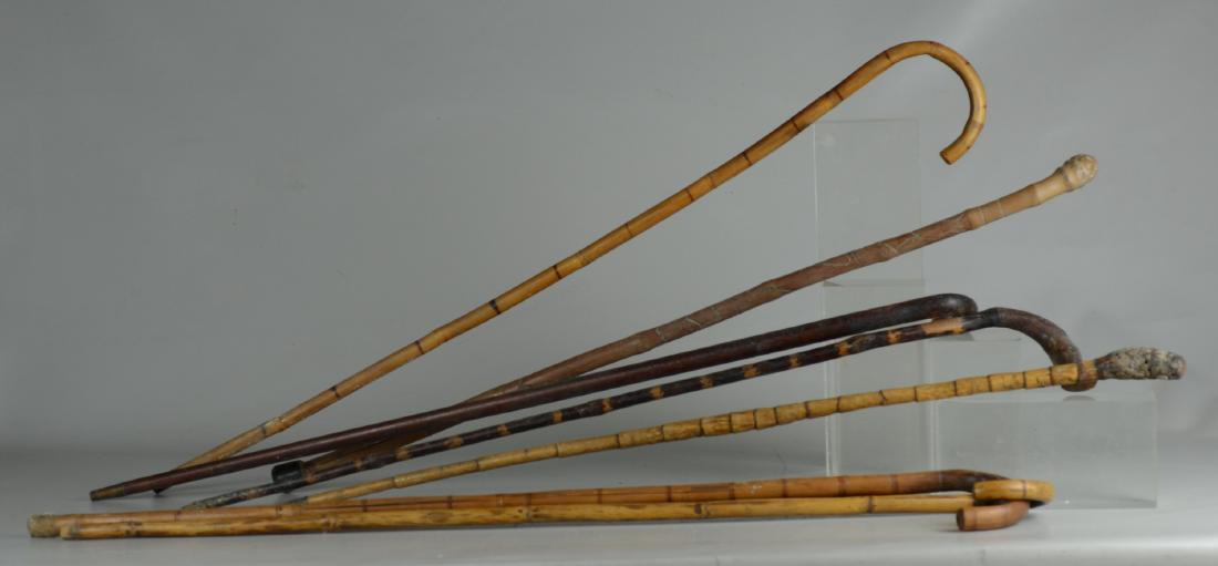 (7) Canes and Walking Sticks (1 of 1)