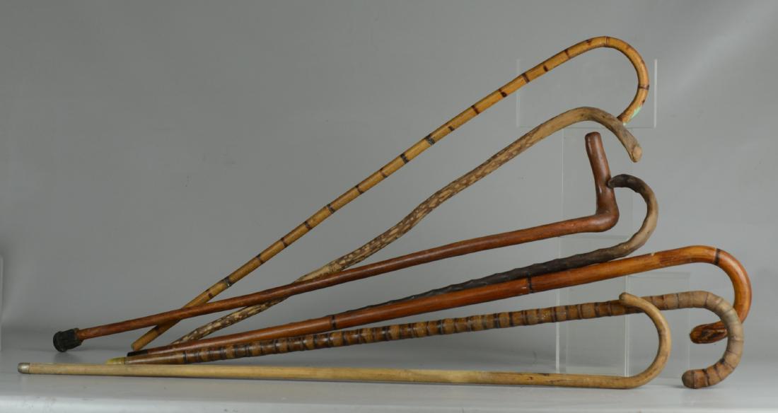 (7) Canes and Walking Sticks (1 of 1)