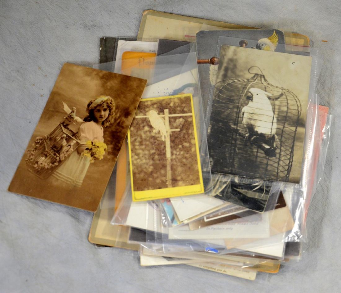 (35) Antique Pet Caged Bird and Aviary Cage Photographs (1 of 1)