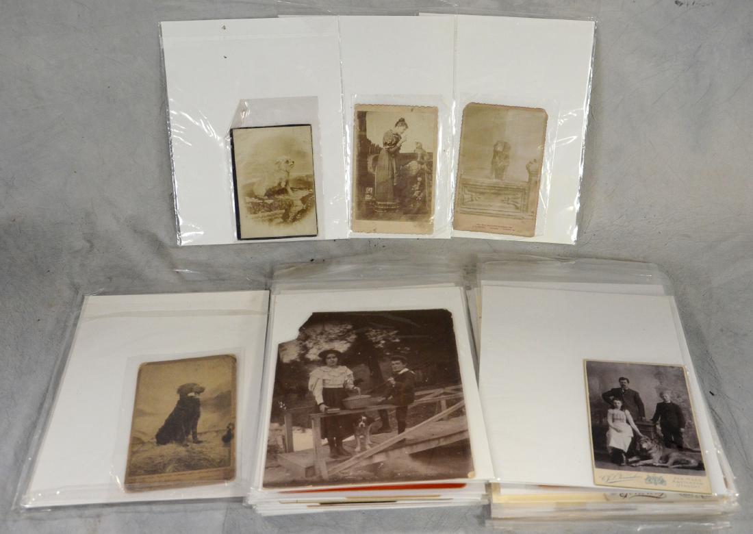 Dog, Man's Best Friend! Rare Photo Lot 1870 - 1950 (1 of 1)