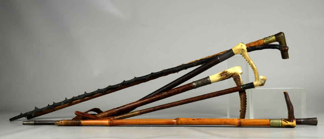 (4) Riding Crops and (3) Walking Sticks (1 of 1)