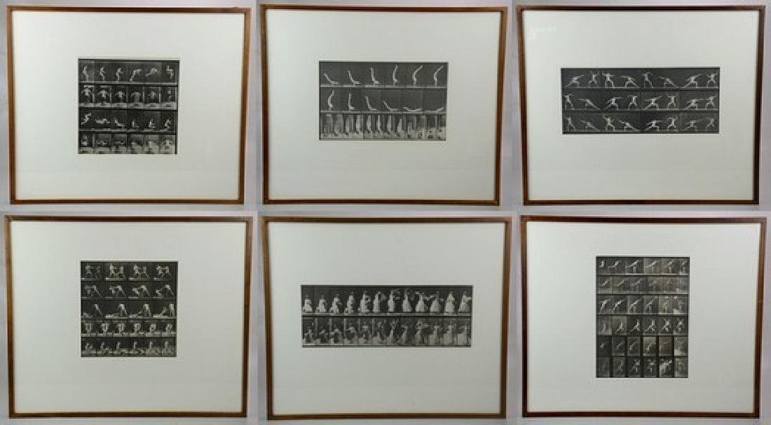Eadweard Muybridge "Animal Locomotion", Set of (5): Eadweard Muybridge (British, 1830-1904), "Animal Locomotion", set of (5) photogravures, various sizes, ramed 20-3/4" x 24-3/4" each; Provenance: from a corporation collection, good condition, wear to