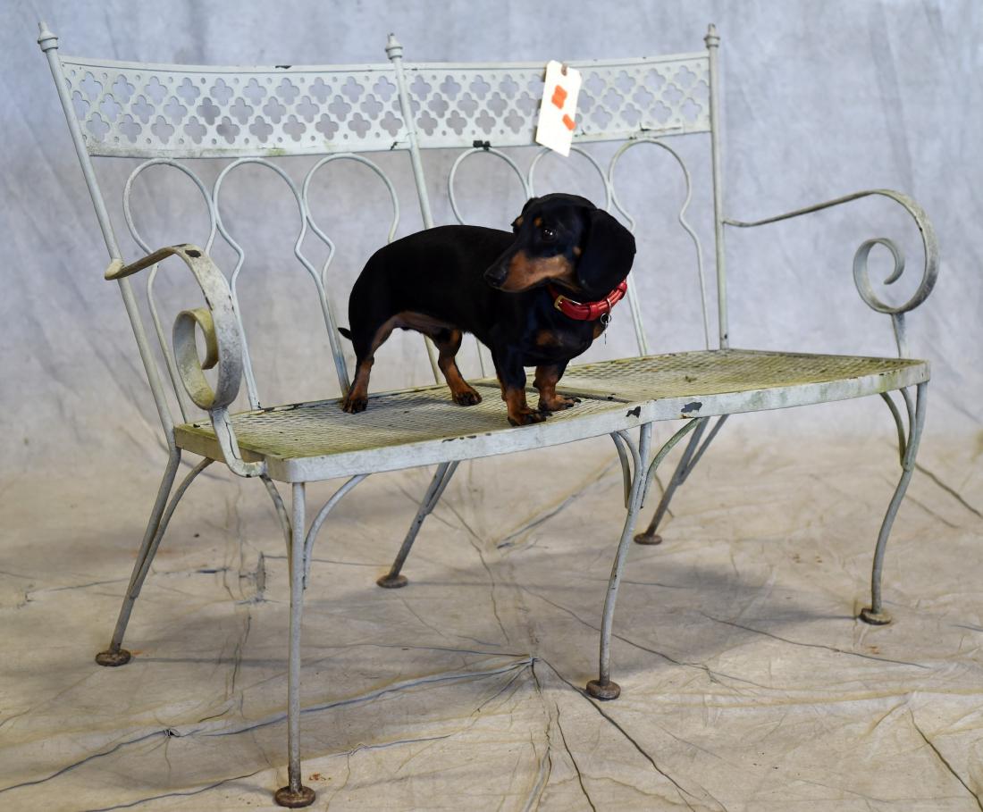 Painted Metal Garden Settee: Painted Metal Garden Settee, 32"h x 42"w x 18"d
