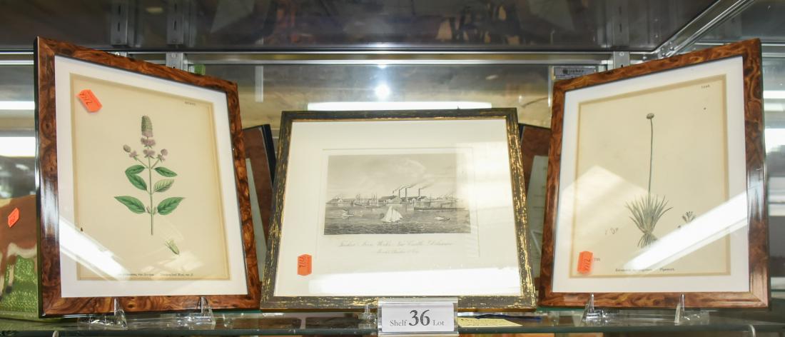 Shelf #36 - (3) Framed Pictures, Botanicals & Engraving: Shelf #36 - (3) Framed pictures: (2) Botanical prints by Sir James Edward Smith, and 1876 engraving of Tasker Iron Works, New Castle, DE, largest framed 11" x 12"
