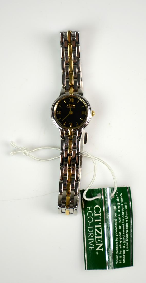 ladies 2-Tone Citizen Eco-Drive watch, EW9334-52E: ladies 2-Tone Citizen Eco-Drive watch, (EW9334-52E), New, (7)
