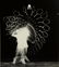 Harold Edgerton Photograph "Gussie Moran's Tennis