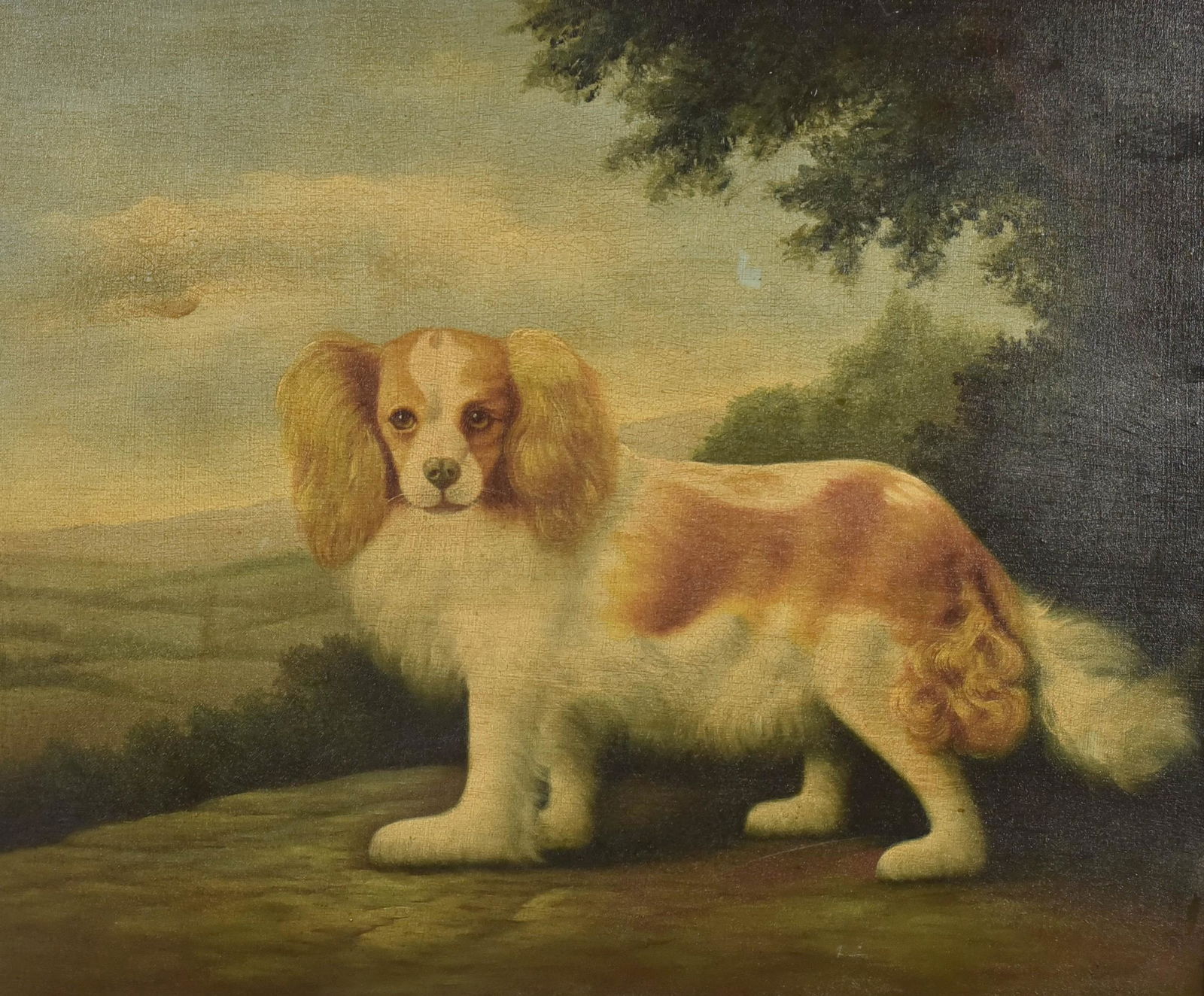 Reproduction Dog Painting King Charles Spaniel: Reproduction dog painting of King Charles Spaniel, oil on canvas, unsigned, carved gilt frame, 20" x 24", framed 28-1/4' x 32-1/4", very good condition