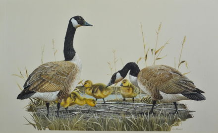 A J Rudisill Painting Grouse Goslings Sep 24 2019 William Bunch Auctions Appraisals In Pa