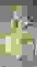 item-76543004=2