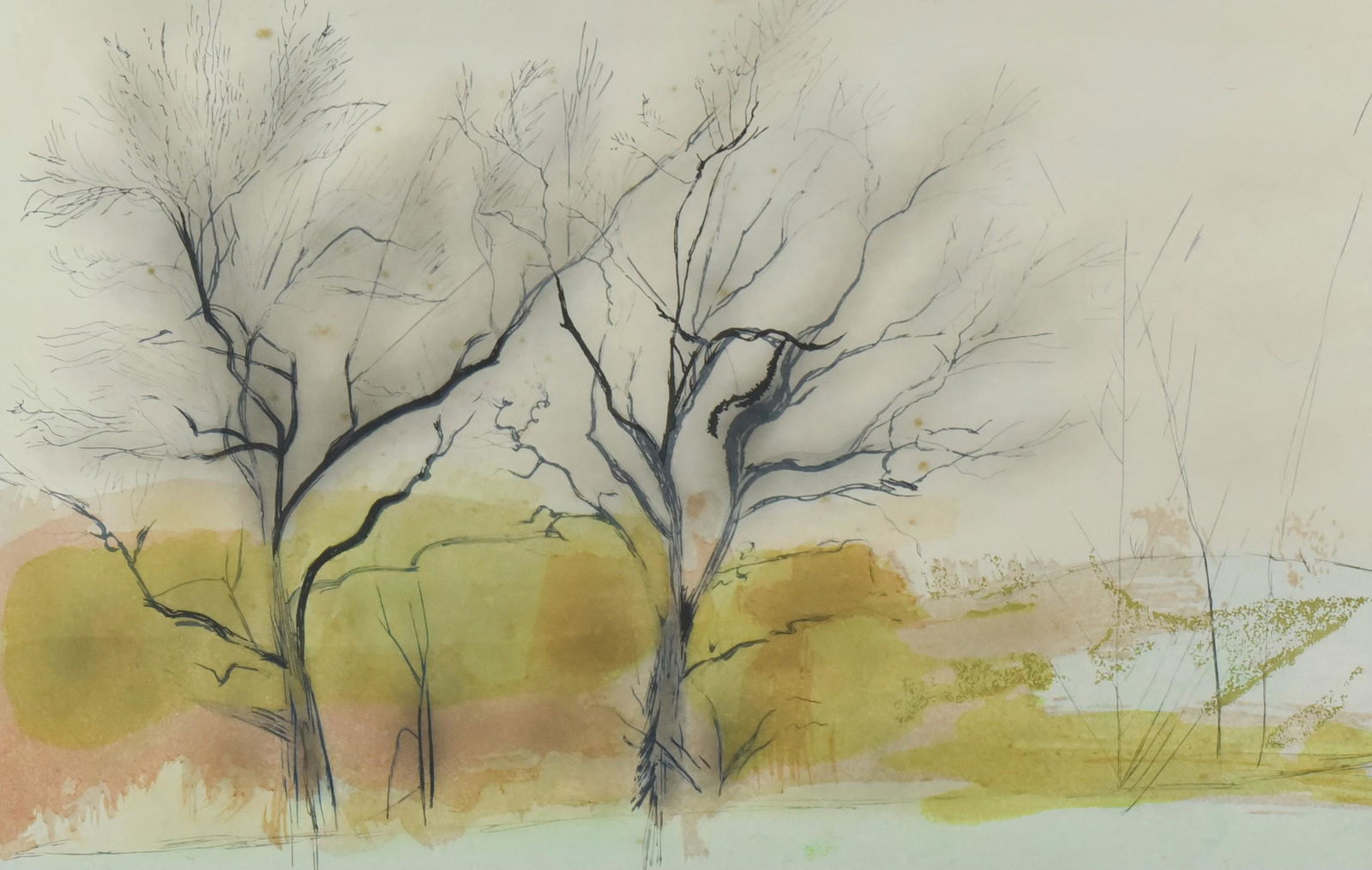 Sylvia Plimack Mangold Print "The Nut Trees": Sylvia Plimack (American, b. 1938) print "The Nut Trees", color woodcut on paper, 1985, pencil signed, edition 20/100, 12" x 18-3/4" image, framed 19-3/4" x 27-1/4", good condition, foxing spots