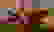item-77974715=4