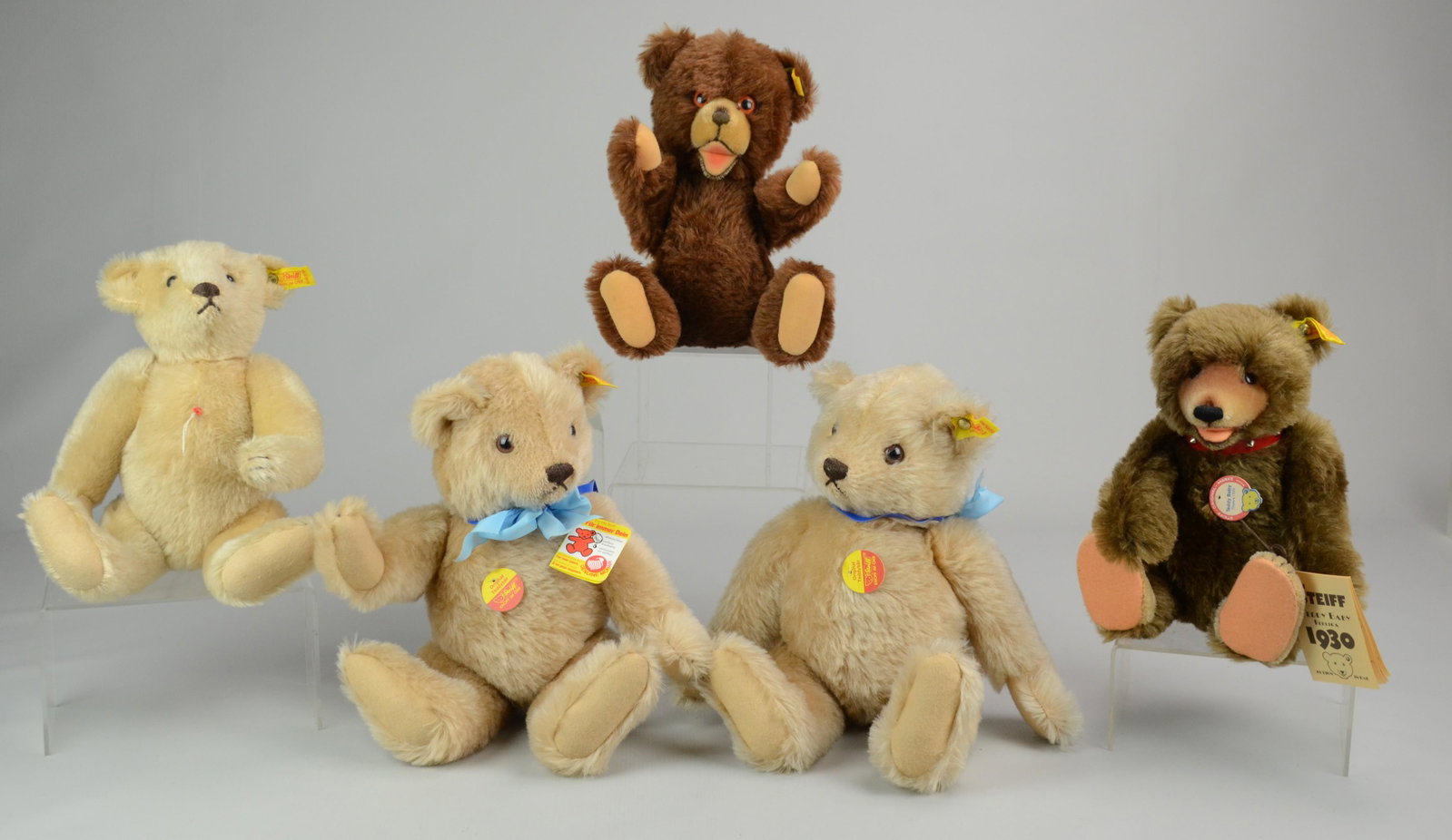 (5) Steiff Bears: (5) Steiff bears c/o (2) original replica with passport and (3) assorted bears.