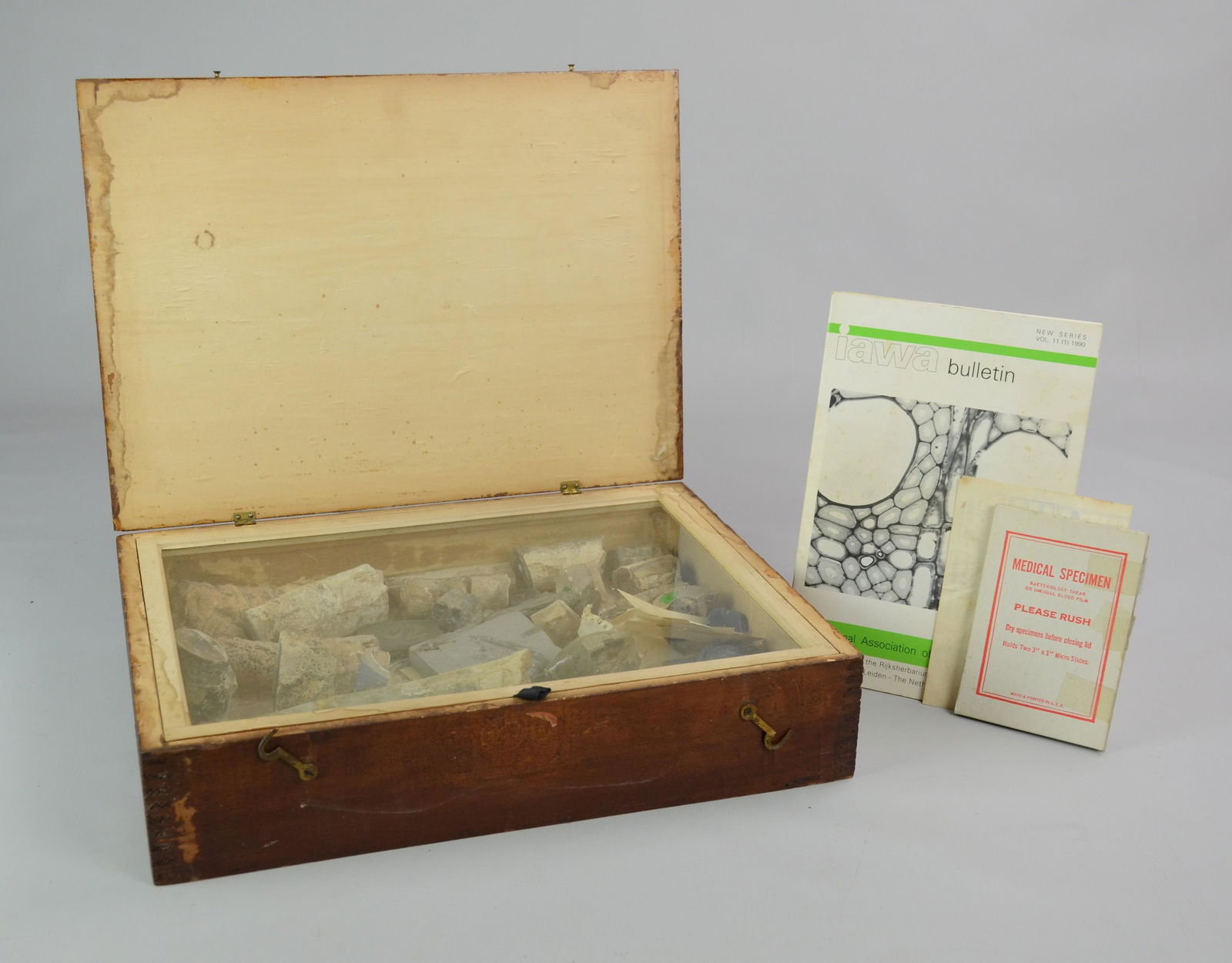 Fossil and Geode Specimen Grouping (1 of 2)