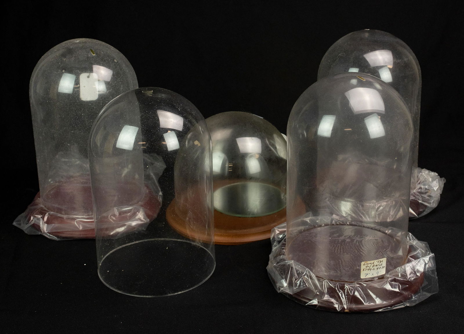(5) Glass Dome Displays (1 of 1)
