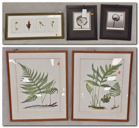 (5) pcs Decorative framed art: (5) pcs Decorative framed art, c/o pair wood framed leaf art, dried floral art marked, signature indiscernible, 2 ebonized framed floral art, largest 25" h x 21" w
