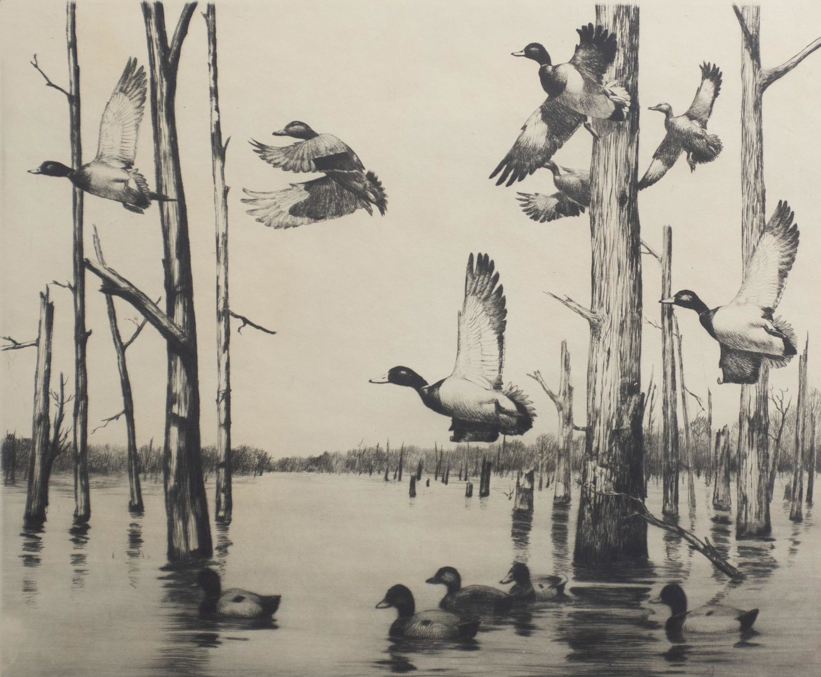 Richard Bishop Etching "Overflow Mallards": Richard Bishop (American, 1887-1975) Etching "Overflow Mallards", etching on paper, pencil signed "Richard Bishop", inscribed dedication in bottom margin, measures 9-3/4" X 11-3/4" sheet, framed size 