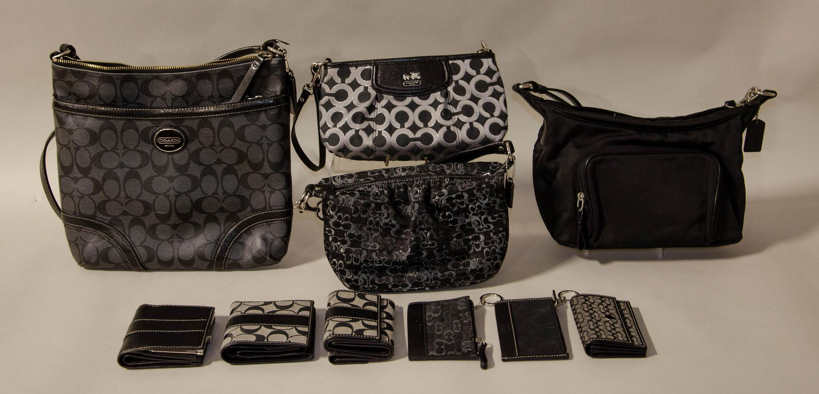 coach vinyl bag