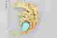item-84788250=3