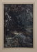 Arthur Rackham, "Midsummer Night's Dream" - 3