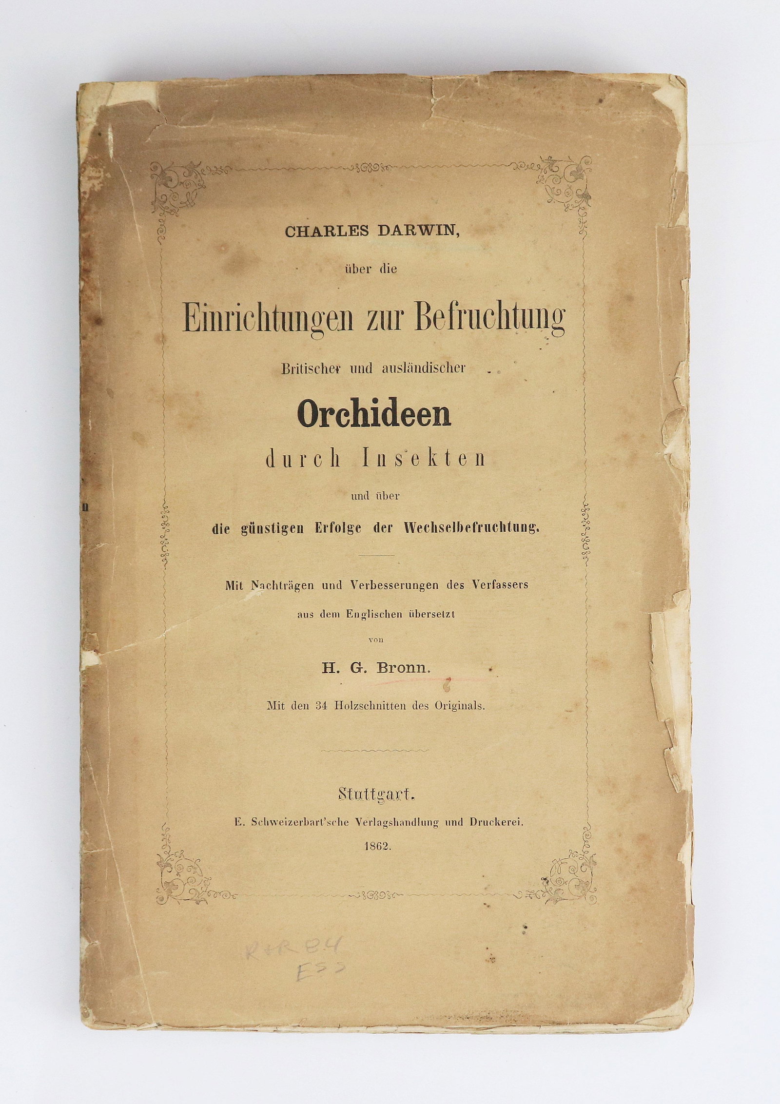 Charles Darwin, "Orchids / Orchideen" 1862, 1877: Charles Darwin "On the Various Contrivances by which British and Foreign Orchids are Fertilised by Insects, and on the Good Effects of Intercrossing" with this being the German language Stuttgart prin