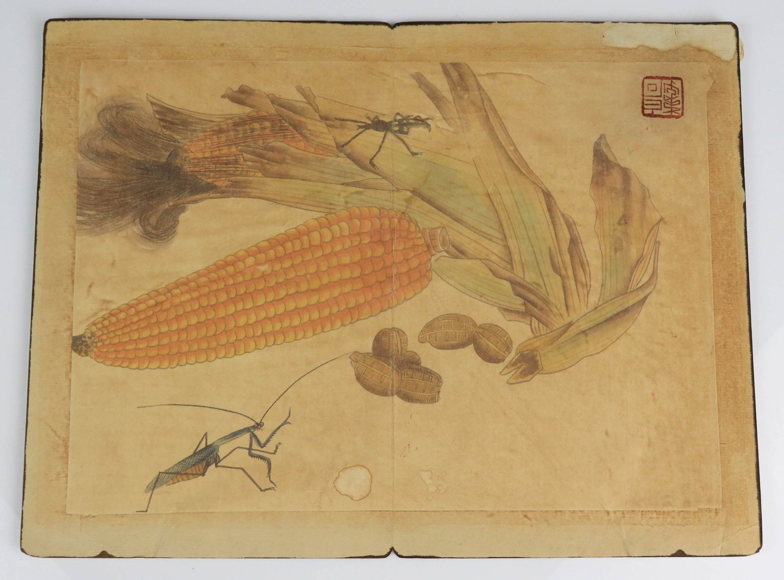 Chinese Watercolor, Ear of Corn: Chinese watercolor, ear of corn with cricket, seal mark, unframed, 15-1/4" x 11-1/2", staining & edge wear