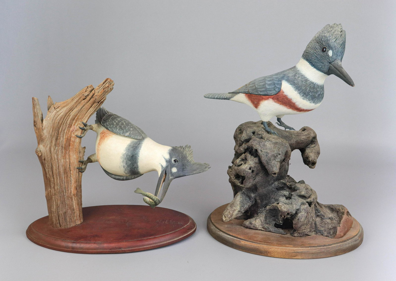 (2) Carved Wood Model Kingfishers: (2) Carved wood model Kingfishers to include open beak Kingfisher in textured feather carved detail, with painted breast, carved comb and plastic inset eyes, perched on freeform branch affixed to wood