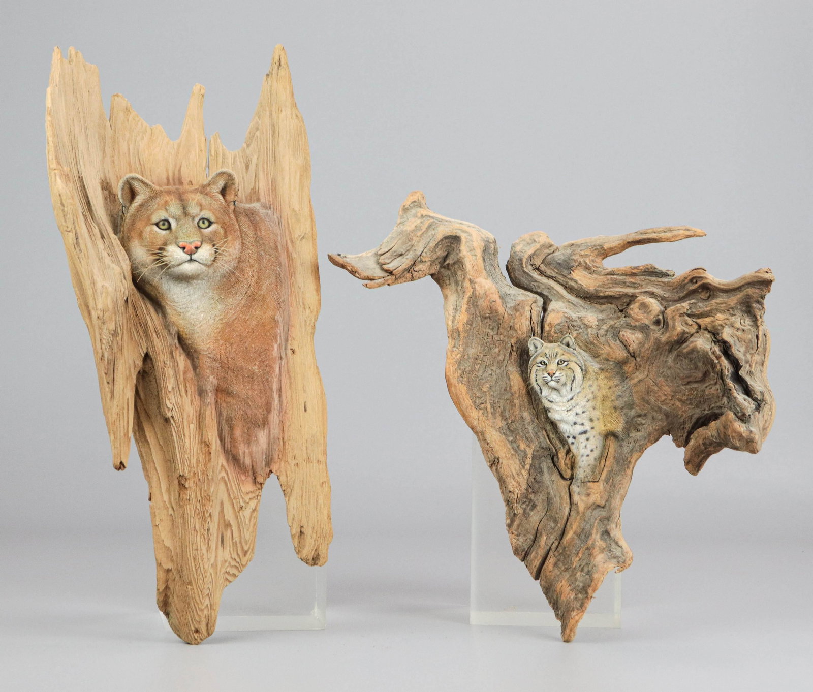 (2) Earl Martz Mountain Cat Carvings: (2) Earl Martz mountain cat carvings depicting mountain lion and bobcat emerging from free form wood in paint decoration with inset eyes, applied whiskers and patterned decoration, both signed, 15" x 