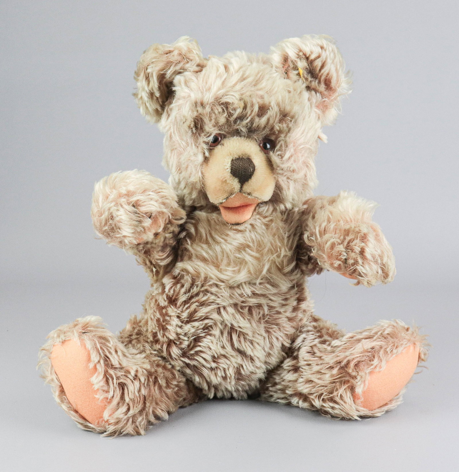 Steiff Zotty Bear with Growler: Steiff Zotty Bear #6343,2, jointed with working growler, made in Germany, with ear button & flag, missing chest tag, 18" h