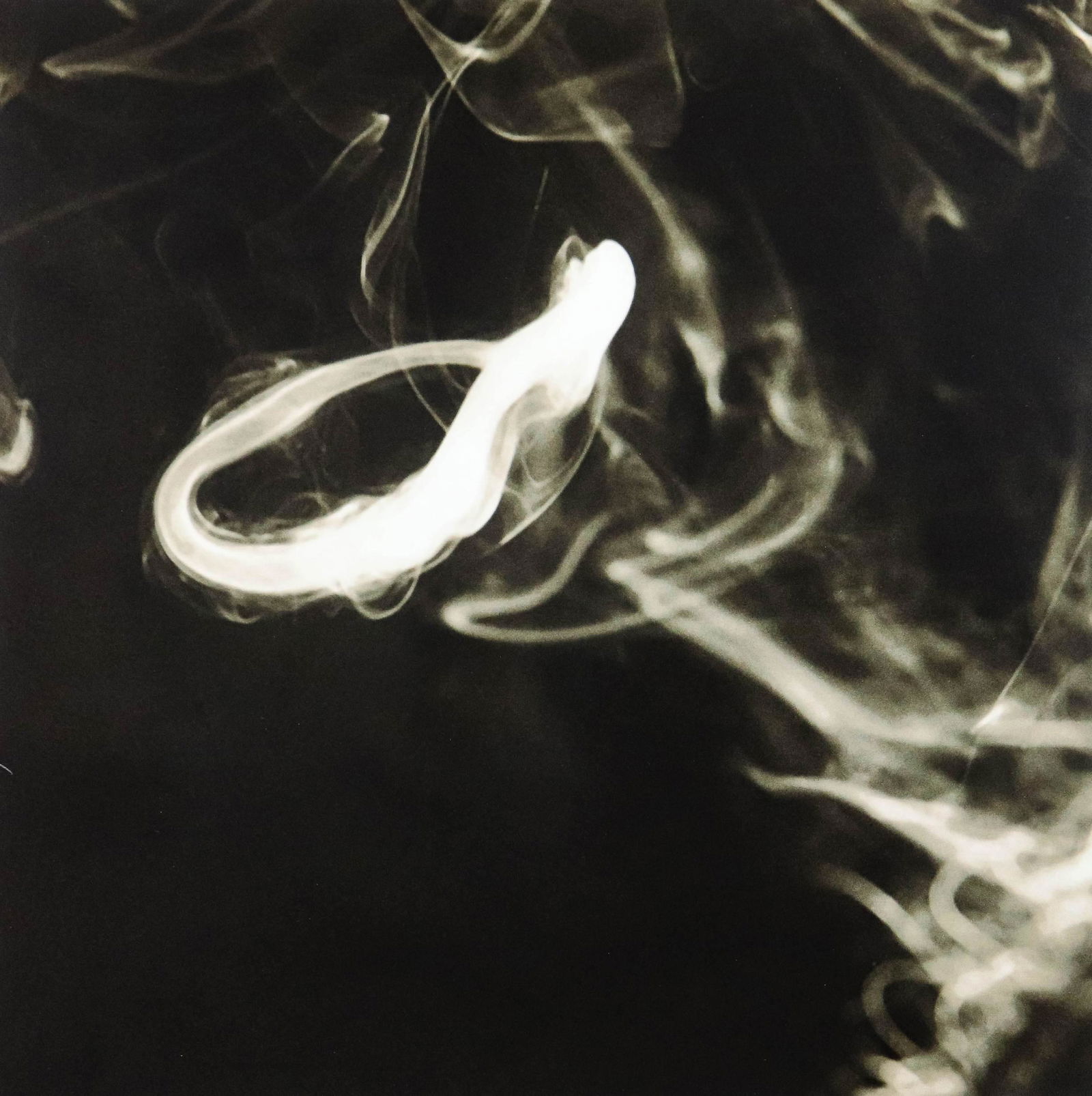 Donald Sultan "Smoke Ring Dec 2, 2001": Donald Sultan (American, b 1951) "Smoke Ring Dec 2, 2001", photographic digital print, inscribed and signed "DS" in pencil, edition 30/75, 22-1/2" x 22-1/2" sheet, framed 26-3/4" x 26-3/4", very good