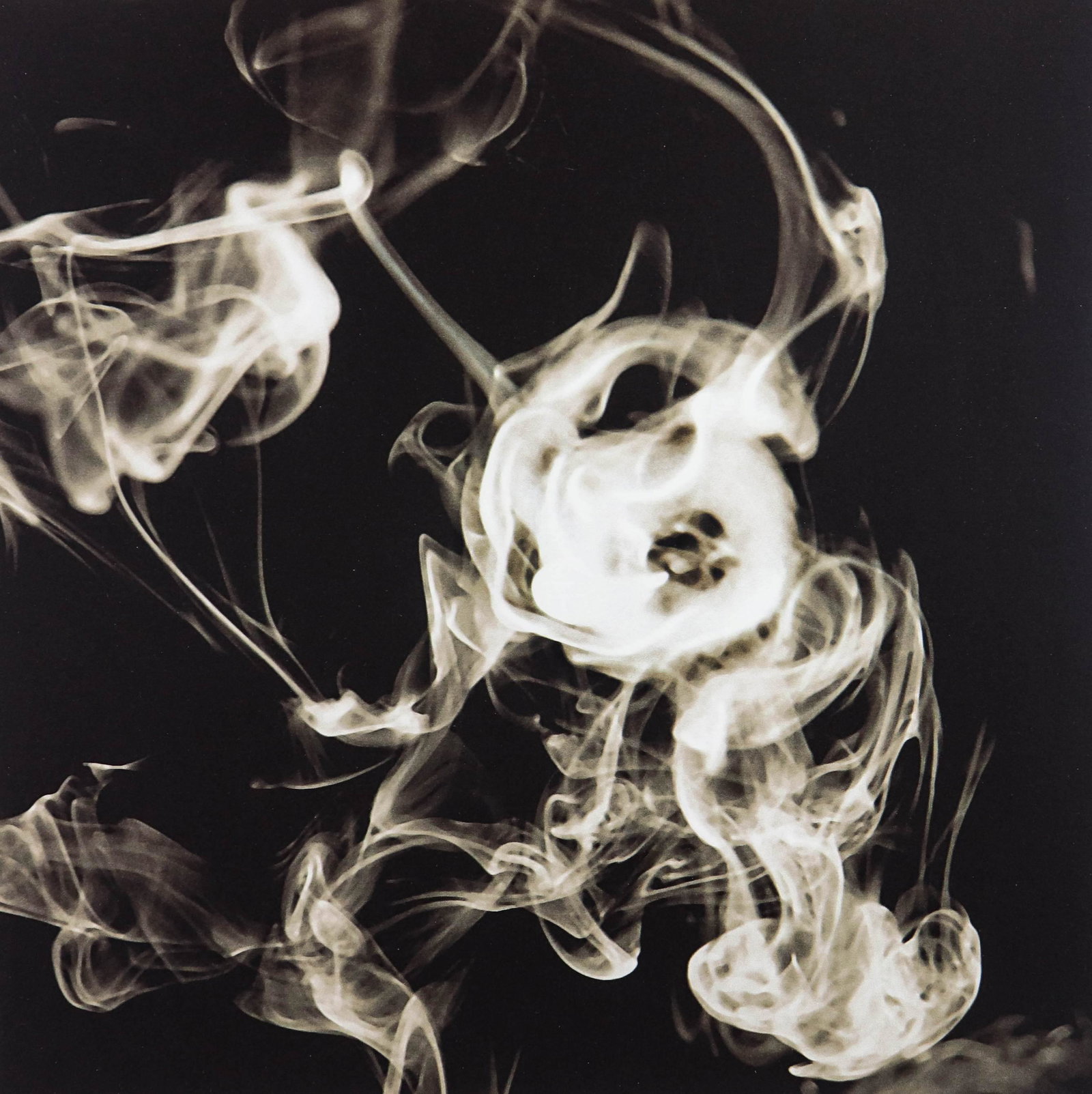 Donald Sultan "Smoke Ring, Nov 12, 2001": Donald Sultan (American, b 1951) "Smoke Ring Nov 12, 2001", photographic digital print, inscribed and signed "DS" in pencil, edition 30/75, 22-1/2" x 22-1/2" sheet, framed 26-3/4" x 26-3/4", very good