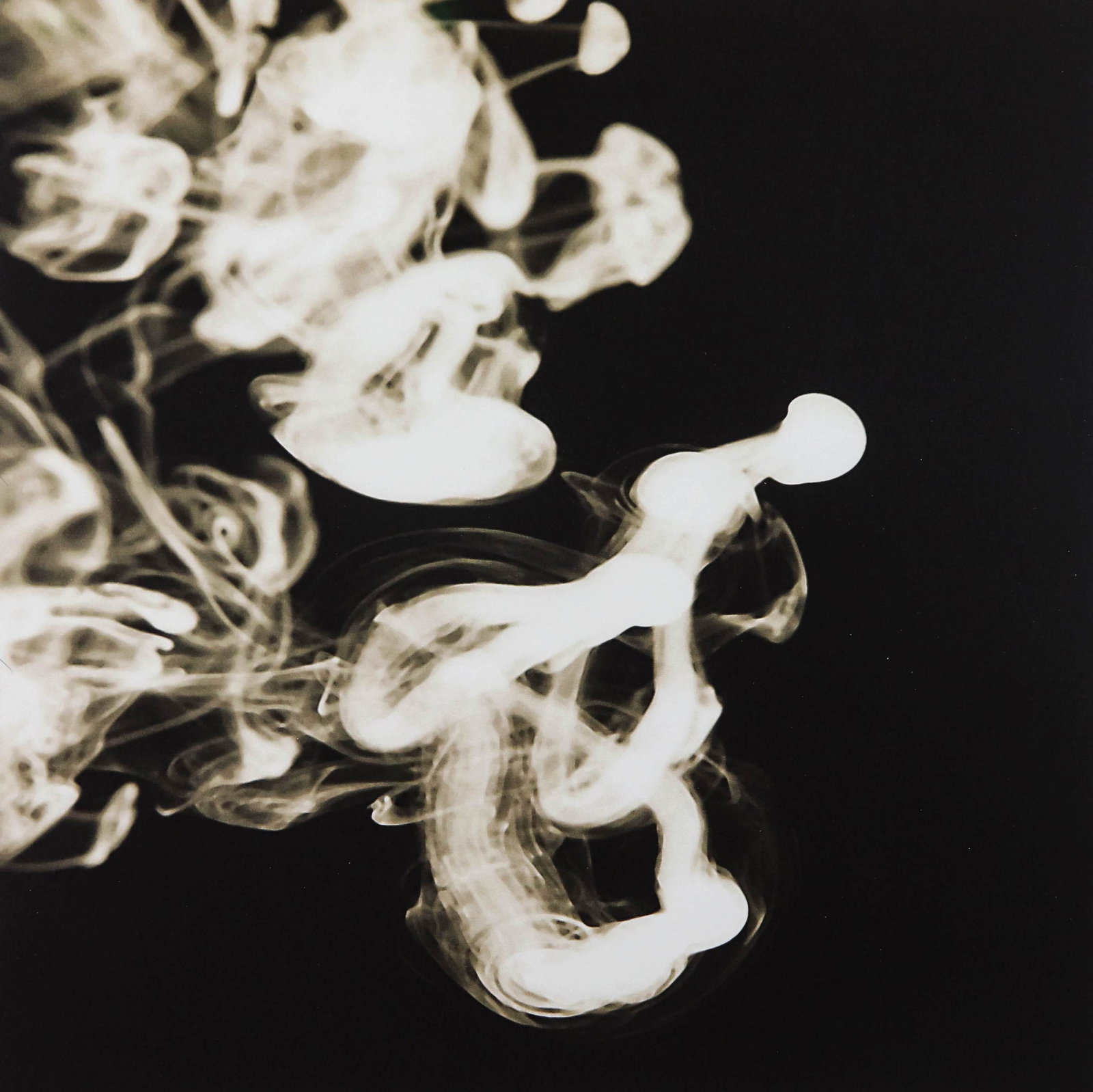 Donald Sultan "Smoke Ring, Aug 13, 2001": Donald Sultan (American, b 1951) "Smoke Ring Aug 13, 2001", photographic digital print, inscribed and signed "DS" in pencil, edition 30/75, 22-1/2" x 22-1/2" sheet, framed 26-3/4" x 26-3/4", very good