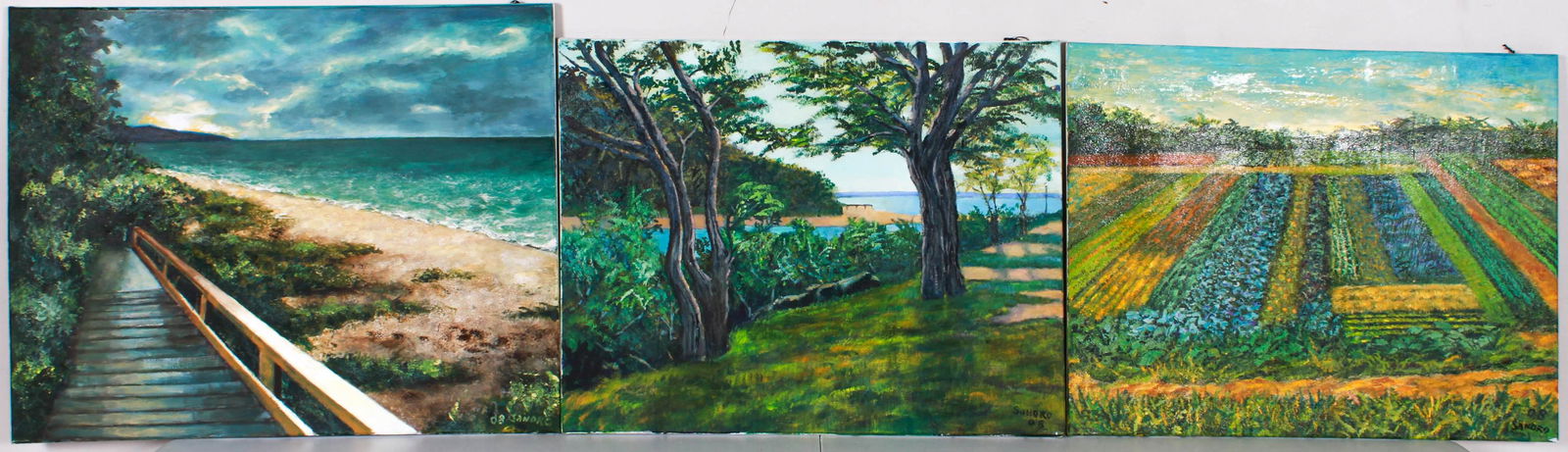 (3) Sandro Diani Landscape Paintings (1 of 4)