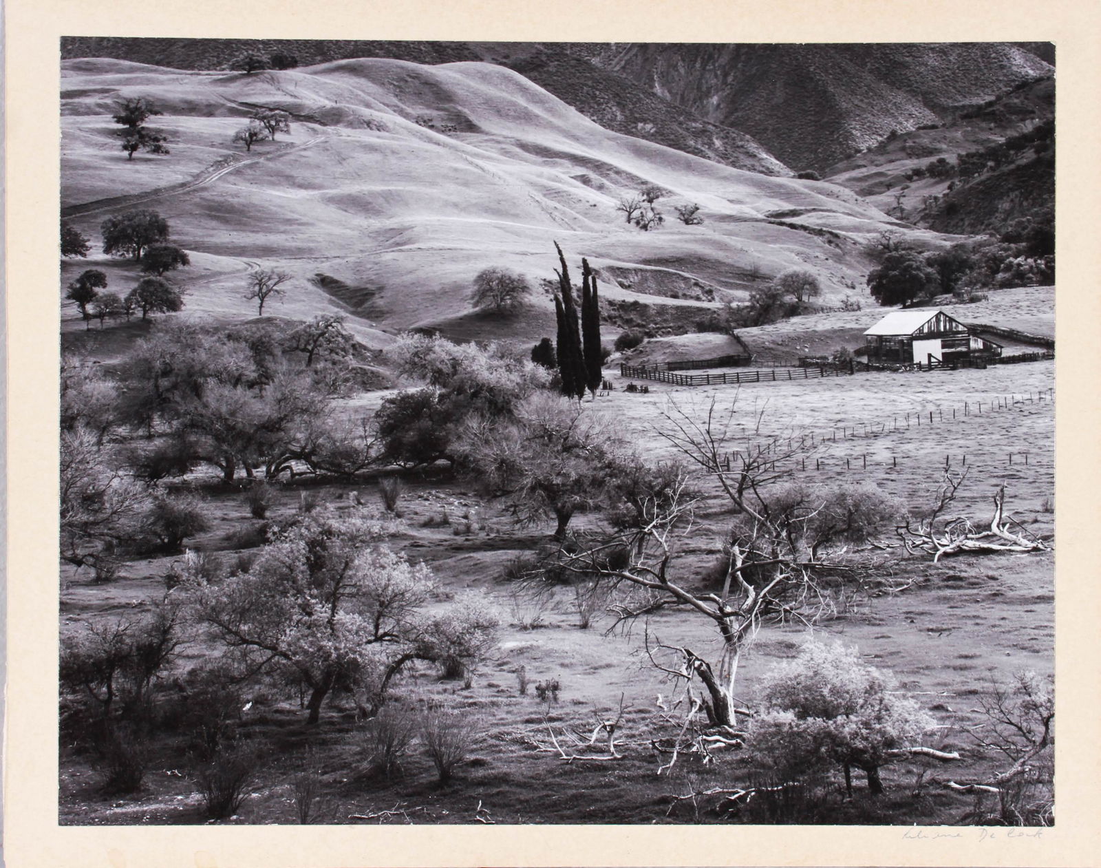 Liliane De Cock "Hills, Near Tres Pinos CA" (1 of 4)