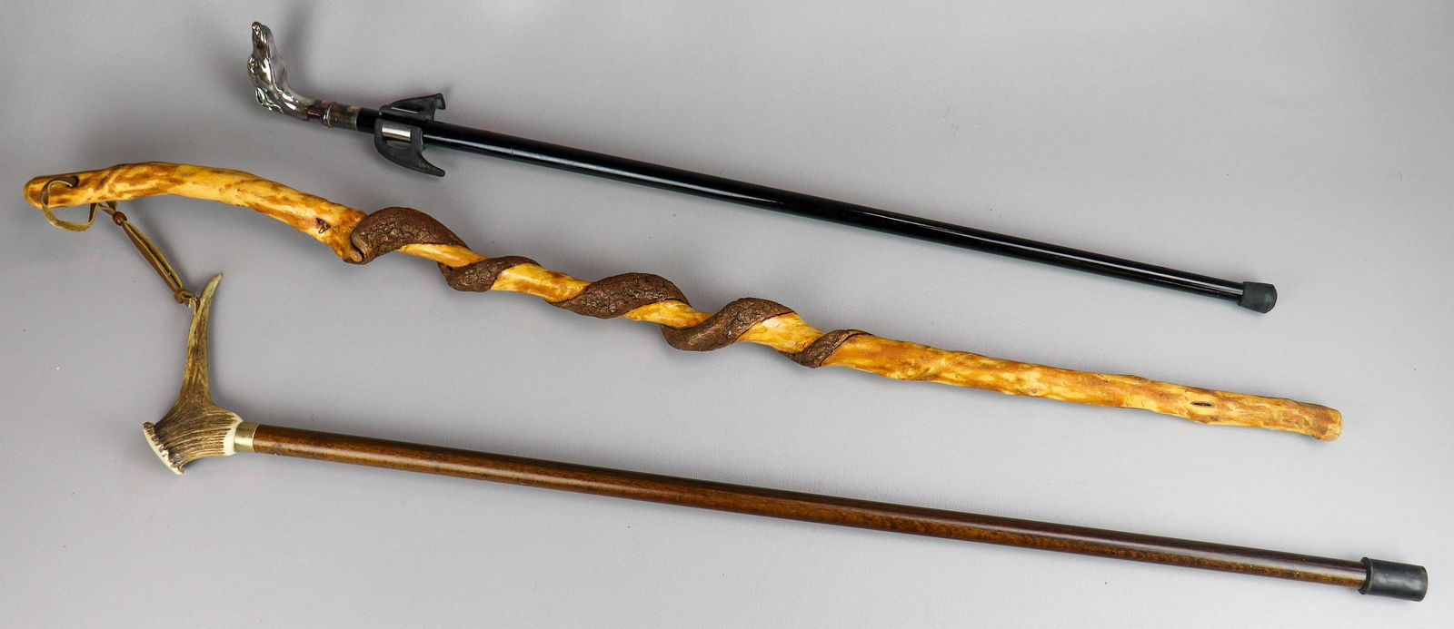 (3) Walking Sticks (1 of 2)