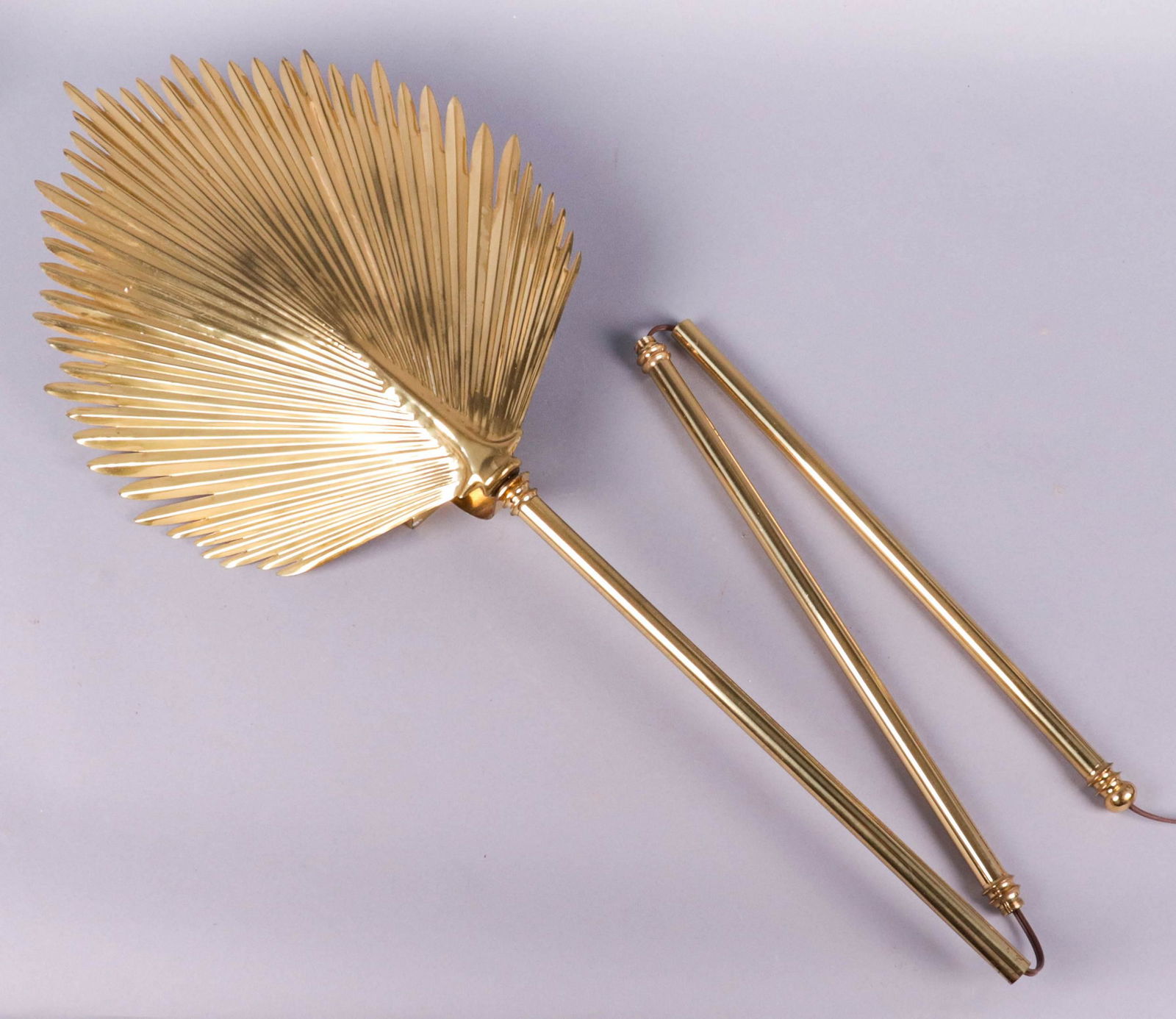 Tommaso Barbi Style Palm Frond Wall Lamp (1 of 1)