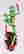 item-111505654=2