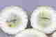 item-111674225=2
