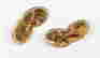 item-112055112=2