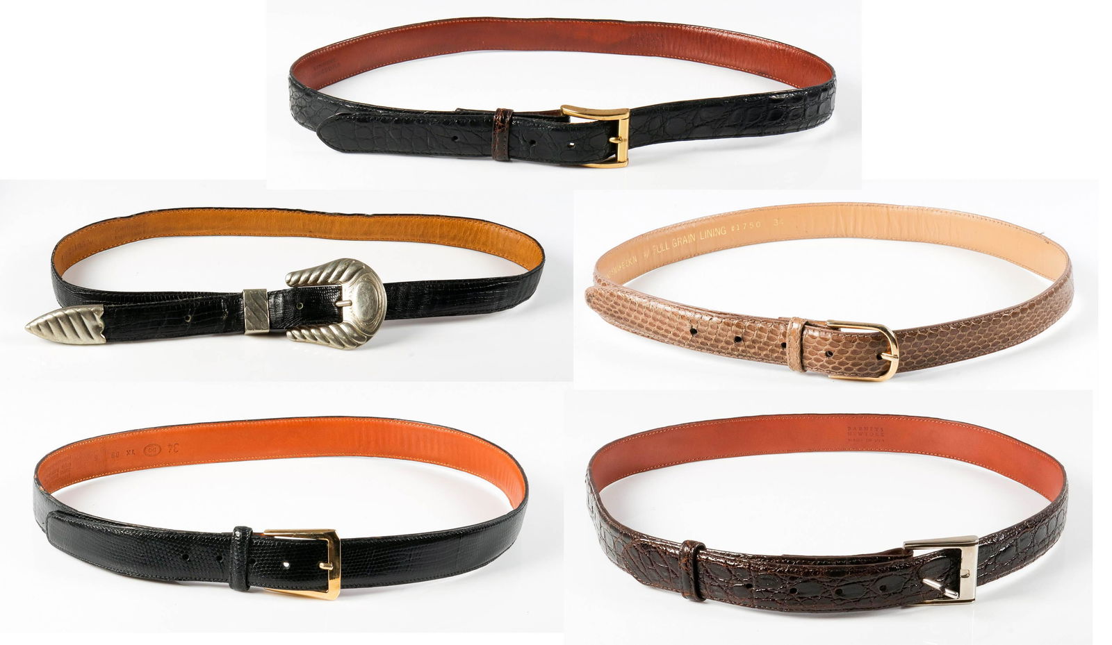 (5) Reptile and Style Belts (1 of 10)