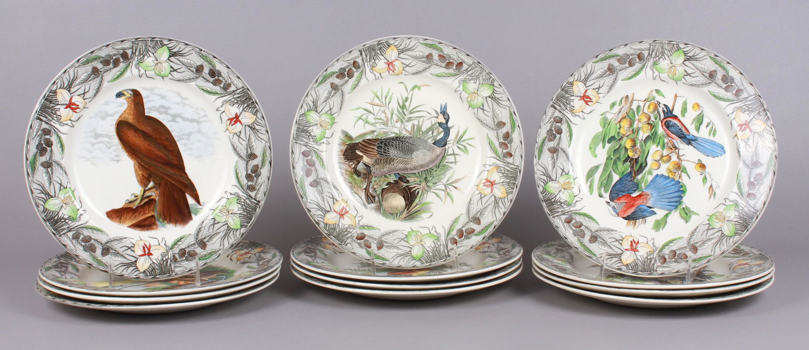 (12) Adams Birds of America Plates: (12) Adams Birds of America dinner plates, floral border, to include Canvas Back Duck, American Flamingo, Cedar Waxwing, Bird of Washington, Baltimore Oriole, Wild Turkey, Long Billed Curlew, Snowy Eg