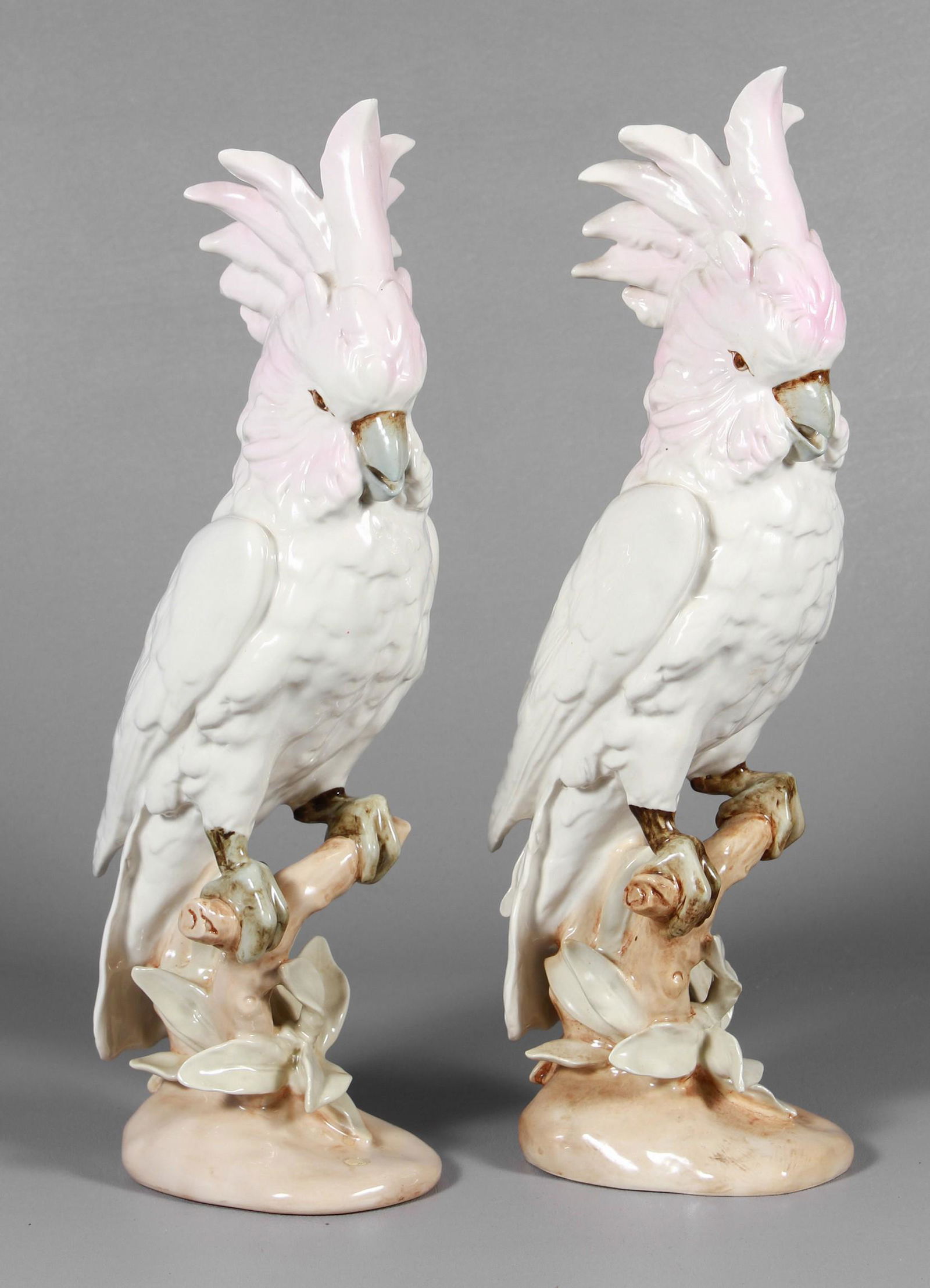 Royal Dux Porcelain Cockatoo Pair (1 of 4)