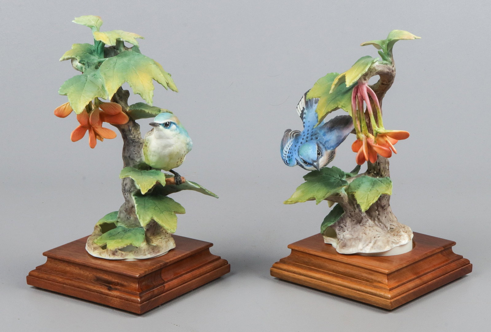 Pair of Royal Worcester Porcelain Bird Figures: Pair of Royal Worcester porcelain bird figurines, "Cerulean Warbler" with maple tree vegetation, marked "D Doughty Royal Worcester Fine Bone China England 1965" & hand numbered "5" & "5A" to the under