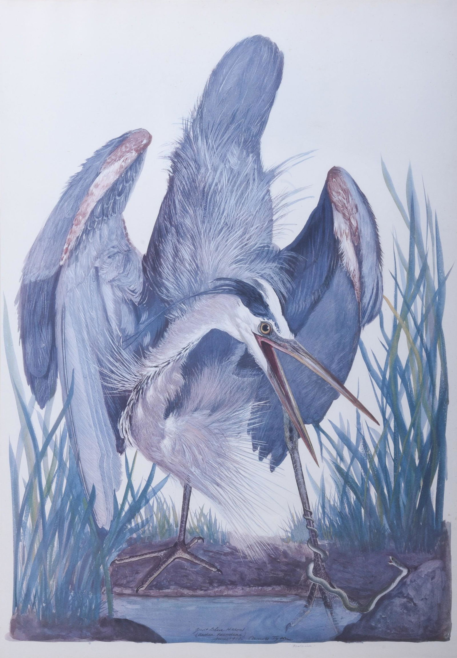 Carroll Tyson Lithograph "Great Blue Heron" (1 of 3)