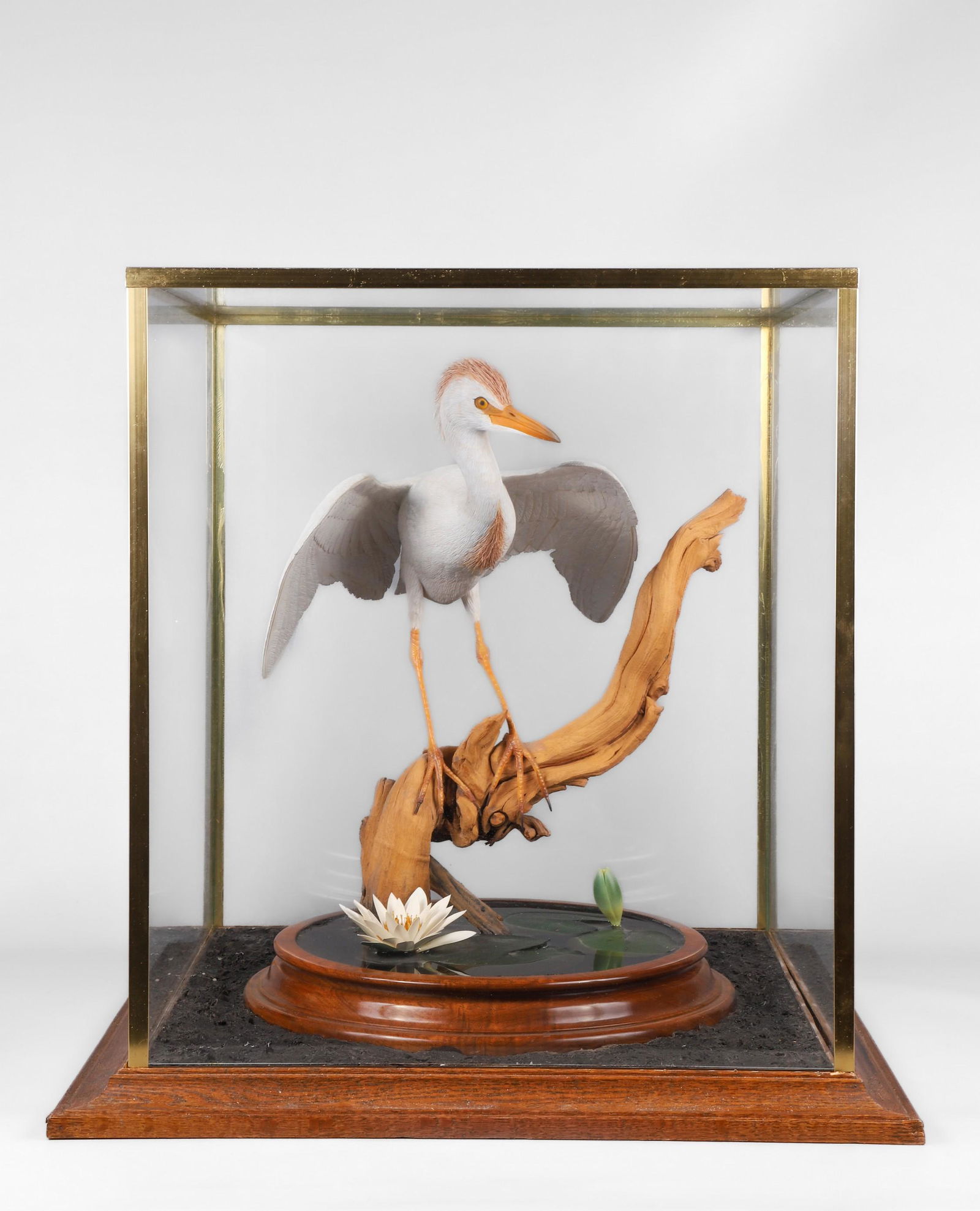 Jay Polite Carved White Egret (1 of 9)