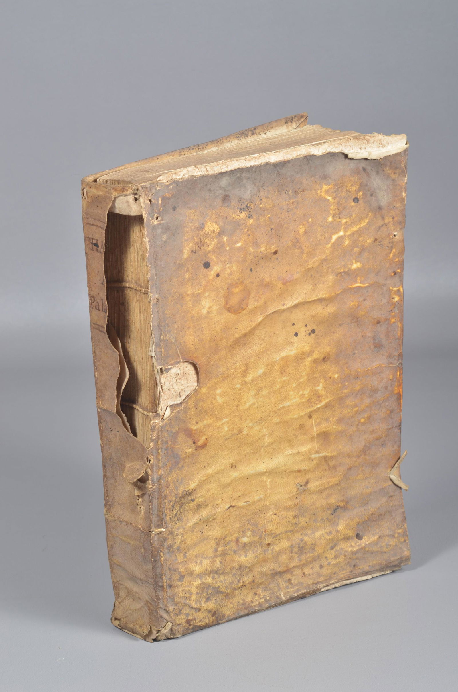 A vellum-bound book in Latin from Venice, 1609 (1 of 6)
